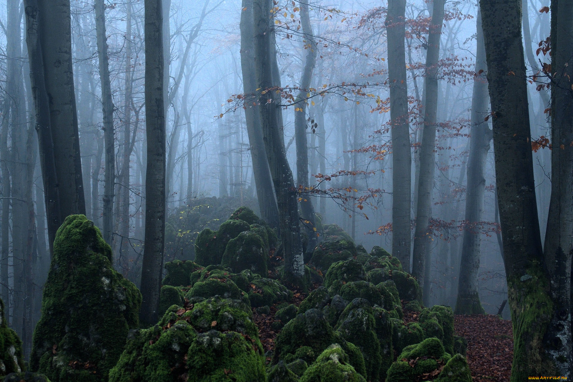 �������, ���, �������, �����, ���, �����, �����, ������